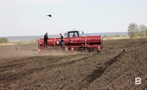 В Татарстане 6 районов завершили посевную кампанию