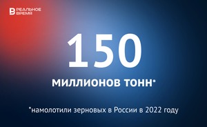 В России намолотили рекордные 150 млн тонн зерновых — это много или мало?