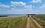 В Татарстане запущен проект «Волжская тропа» — ее протяженность 350 км