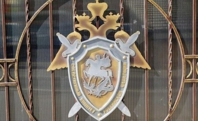 В Татарстане женщину подозревают в покушении на убийство сожителя и его сестры