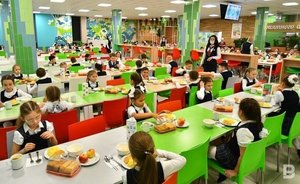 Кабмин направит 10 регионам более 127,7 млн рублей на питание для школьников — Татарстана в перечне нет