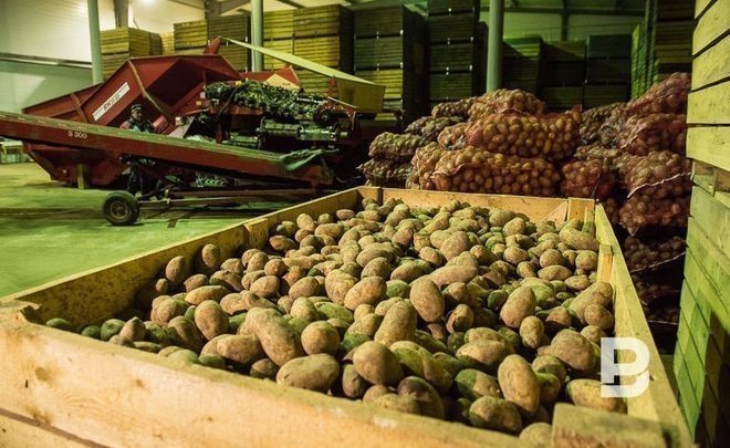 В Татарстане создали рабочую группу по контролю цен на «борщевой набор»