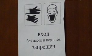 Власти Чечни пояснили отмену масочного режима в республике