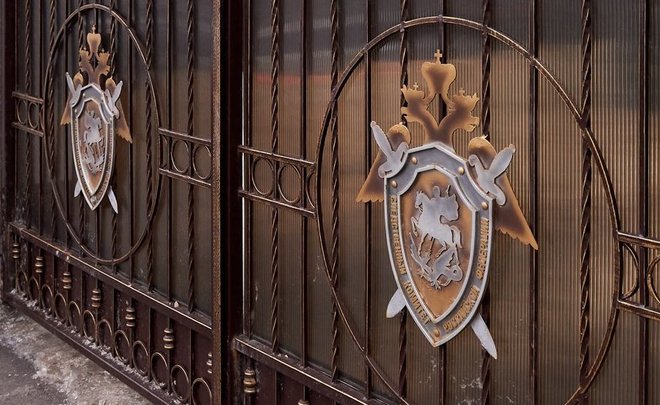 Дело контролировал Бастрыкин: в Казани СК отправил в суд дело об истязании ребенка матерью