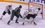 «Ак Барс» обыграл «Адмирал» в первом матче серии плей-офф КХЛ