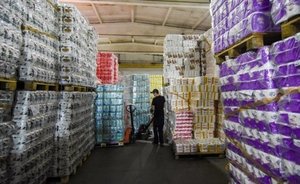 На Западе подорожала туалетная бумага из-за запрета на экспорт березы из России