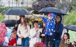 Жителей Татарстана предупредили о грозе, тумане и сильном ветре 21 июля