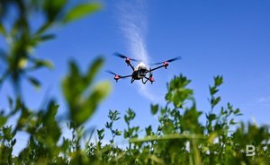 В Иннополисе установят экспериментальный правовой режим для беспилотников