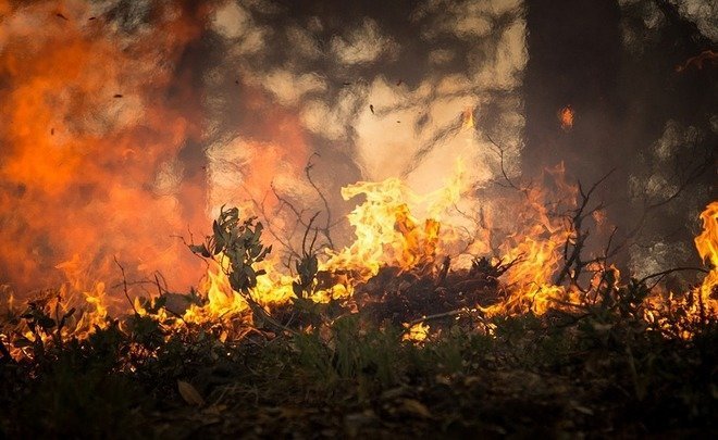 СК возбудил первое дело из-за лесных пожаров в Сибири