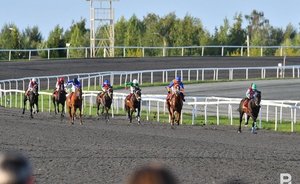 В СК прокомментировали дело против главы Казанского ипподрома