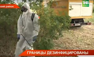 Дезинфекцию от африканской чумы свиней проводят в 15 районах Татарстана — видео