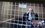Должен еще 24 млн: экс-ректор КХТИ Герман Дьяконов выходит на свободу на три года раньше срока