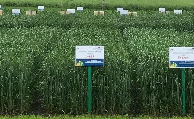 Минсельхоз России: аграрии собрали второй по объему в постсоветской истории урожай