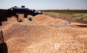 Украина может потерять до $500 млн в месяц в случае разрыва зерновой сделки