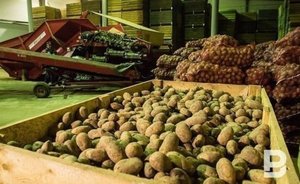 В Казани на этой неделе возобновляют работу сельхозярмарки