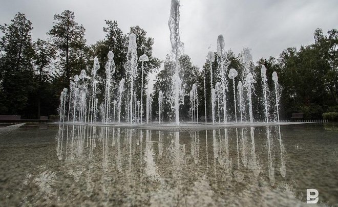 Казанские парки и скверы начали обрабатывать от клещей и грызунов
