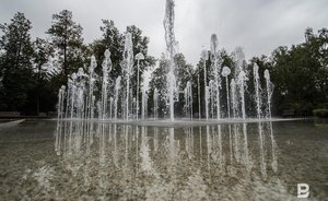 Казанские парки и скверы начали обрабатывать от клещей и грызунов