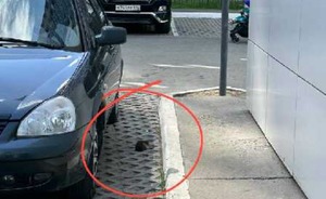 За последний месяц татарстанцы направили в «Народный контроль» более 6 тыс. обращений